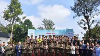 Trồng 20 ngàn cây xanh góp phần tạo không gian sinh thái bền vững cho Vườn Quốc gia Ba Vì