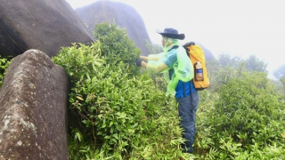 Đầu xuân thăm “pháo đài xanh” – báu vật giữa đại ngàn Trường Sơn