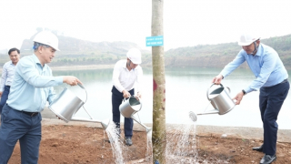 TKV trồng hơn 9 vạn cây xanh trong những ngày đầu xuân mới