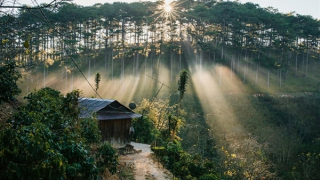 Cả nước trời nắng, miền Bắc tăng nhiệt mạnh