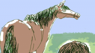 Bóng ngựa dưới trăng mờ