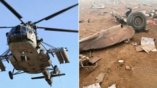 Chú chó sống sót kỳ diệu sau vụ rơi máy bay