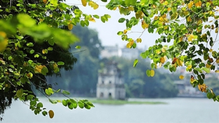 Miền Bắc nắng ấm trước khi có không khí lạnh về