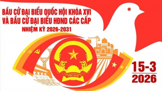 Lá phiếu và sứ mệnh của cử tri trong kiến tạo và kiểm soát quyền lực Nhà nước