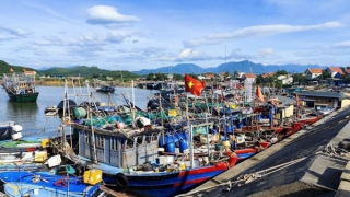 Khanh Hoa ensures transparency in data to address IUU fishing