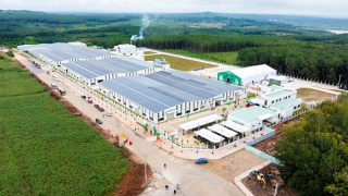 Sao Mai Agro: Chuẩn hóa từ vùng trồng đến nhà máy,  nâng tầm nông sản Việt