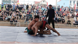 Giúp sới vật hội làng văn minh, an toàn hơn