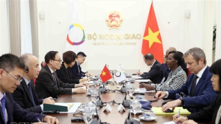 Vietnam always treasures cooperation with Francophone community: FM