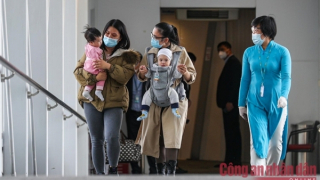 Mở phương án hướng dẫn công dân Việt rời Qatar, UAE và Arab Saudi