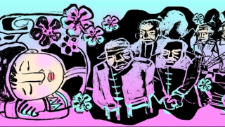 Hoa đào nở trong mưa rơi