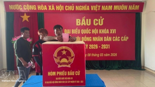 Vietnamese NA helps build institutional foundations for long-term development: Canadian researcher