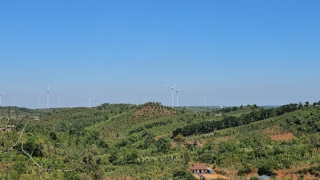 Đề xuất tháo gỡ vướng mắc cho 6 dự án điện gió chồng lấn quy hoạch bô xít