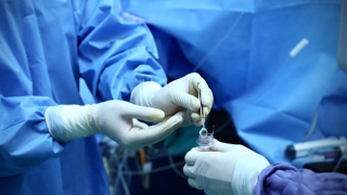 Yêu cầu kiểm tra, chấn chỉnh hiện tượng môi giới mua bán tạng