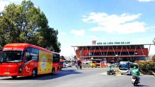 Người dân, doanh nghiệp tìm cách thích ứng khi giá xăng dầu tăng cao