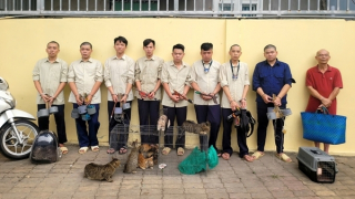 Đối tượng cuối cùng trong nhóm “dơi đêm” săn trộm mèo đã ra đầu thú