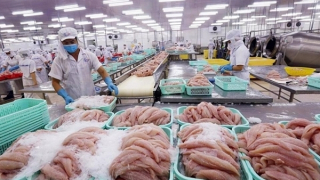 Chưa ghi nhận thiệt hại hàng hóa xuất nhập khẩu Việt Nam – Israel