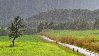 Hà Nội nắng đẹp, Tây Bắc Bộ có mưa dông