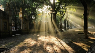 Nắng đẹp khắp miền Bắc, Trung Bộ mưa rào diện rộng