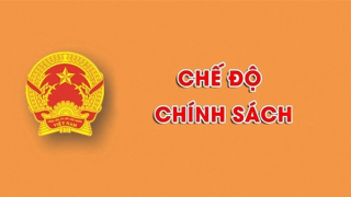 Sẽ báo cáo, đề xuất cấp lại hiện vật khen thưởng cho ông Đặng Viết Thu