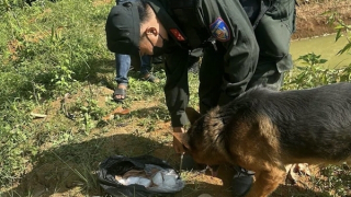 Xoá đường dây buôn bán ma tuý lớn ở Đồng Nai, thu 2 khẩu súng