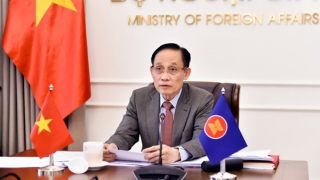 Vietnamese embassies in Middle East ready to assist ASEAN citizens: FM