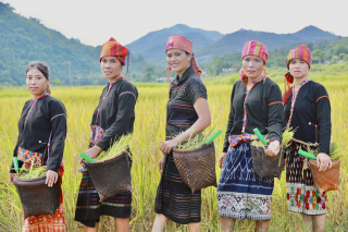 Những động lực mới ở vùng cao Quảng Trị