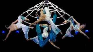 Khi Xiếc Việt “trở mình”