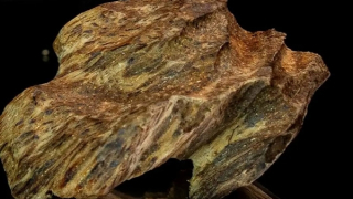 Cảnh giác chiêu trò dàn cảnh lừa mua kỳ nam giả