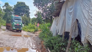 Siết chặt quản lý hành lang an toàn đường bộ tuyến Quốc lộ 14D