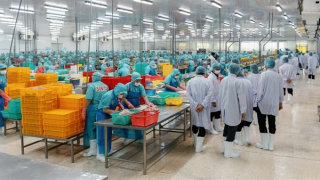 Ban Thường vụ Tỉnh ủy Thanh Hóa thăm và làm việc tại Tỉnh An Giang và Tập đoàn Sao Mai