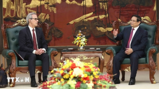 'Việt Nam hợp tác với EU trong chống khai thác IUU bằng tinh thần cầu thị'