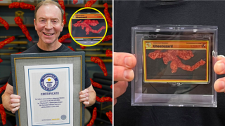 Đấu giá… một miếng bánh