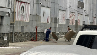 Điều tra làm rõ vụ người đàn ông rơi từ lầu 17 chung cư xuống đất