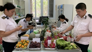 Tạm lùi thực hiện Nghị định 46 đến khi Luật An toàn thực phẩm sửa đổi có hiệu lực