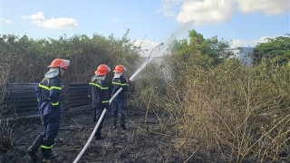 Khu dân cư hoảng loạn vì đốt cỏ khô