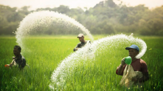 Đứt gãy nguồn cung phân bón toàn cầu