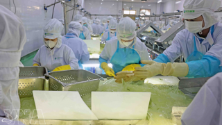Vietnam launches drive to boost private sector, reform state enterprises