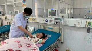 Lọc máu 53 giờ liên tục, cứu sống bé gái bị ong đốt