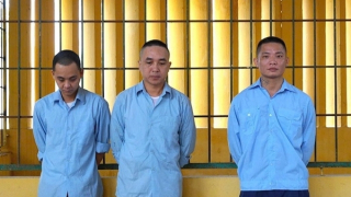 Công an TP Hà Nội triệt phá đường dây môi giới bán nội tạng qua mạng xã hội