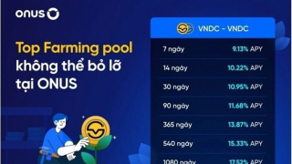 Chiếm đoạt tài sản thông qua phát hành và bán tiền mã hóa cho nhà đầu tư