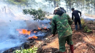 Canh gác giữ rừng giữa mùa khô Tây Nguyên