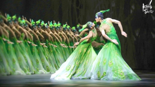 Từ vở múa “Khổng tước”: Làm thế nào để có những đỉnh cao của nghệ thuật biểu diễn Việt Nam?