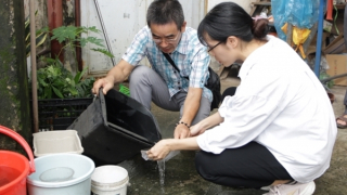 Tay chân miệng tăng gấp 5 lần, sốt xuất huyết tăng 2,2 lần