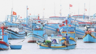 Bài 4: Ngư dân, doanh nghiệp xoay trục tiết kiệm ứng phó với giá nhiên liệu