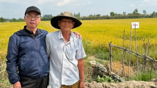 Người gieo “mầm đổi mới” trên ruộng lúa Việt Nam