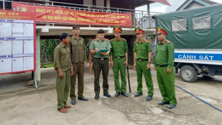 Từ "cấu phần năng lực cạnh tranh" đến nền tảng tự chủ chiến lược