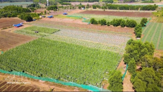 Data, digitalisation key to unlocking sustainable growth in Vietnam’s agriculture