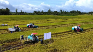 Doanh nghiệp, hiệp hội chung tay giữ nhịp sản xuất nông nghiệp