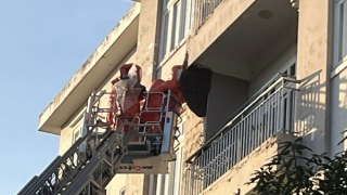 Tổ ong dài gần 1m đe dọa nhiều người dân được phá bỏ