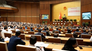 Thành công của bầu cử Quốc hội, HĐND các cấp: Dấu mốc quan trọng trong tiến trình phát triển của đất nước